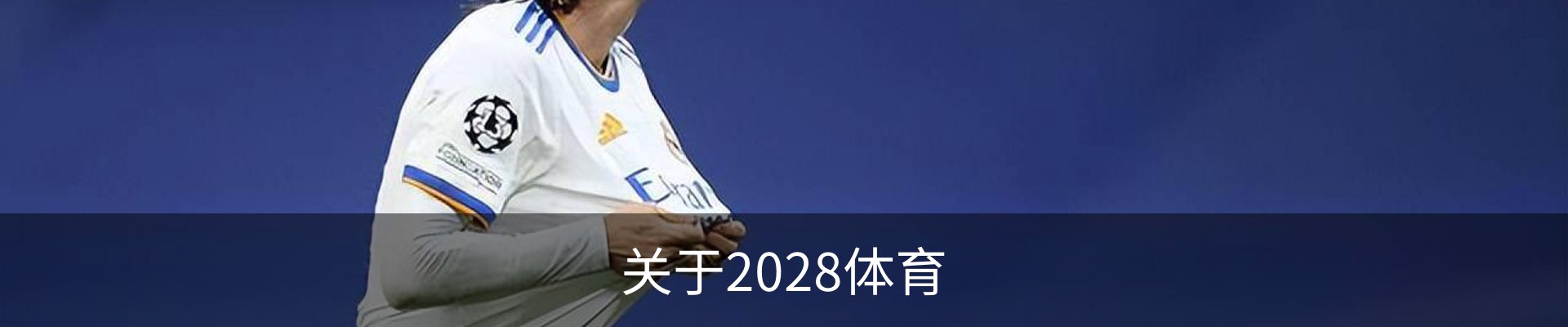 关于2028体育